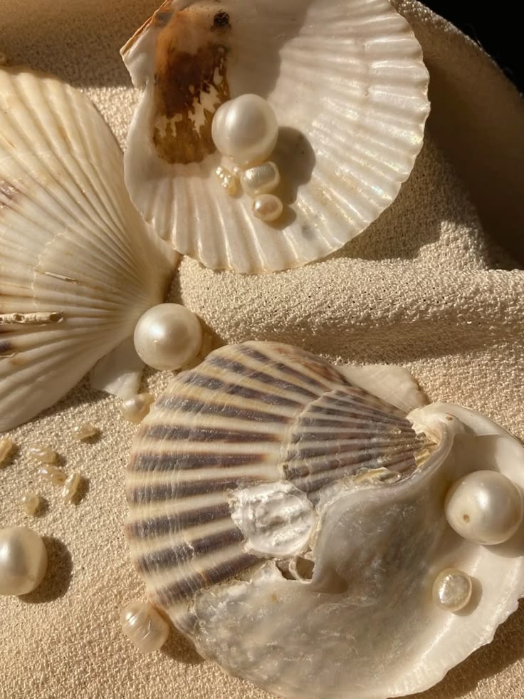 How to Have an Unforgettable Seashell Themed Party Year Round